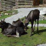 Biologická, fyzikální a zeměpisná exkurze